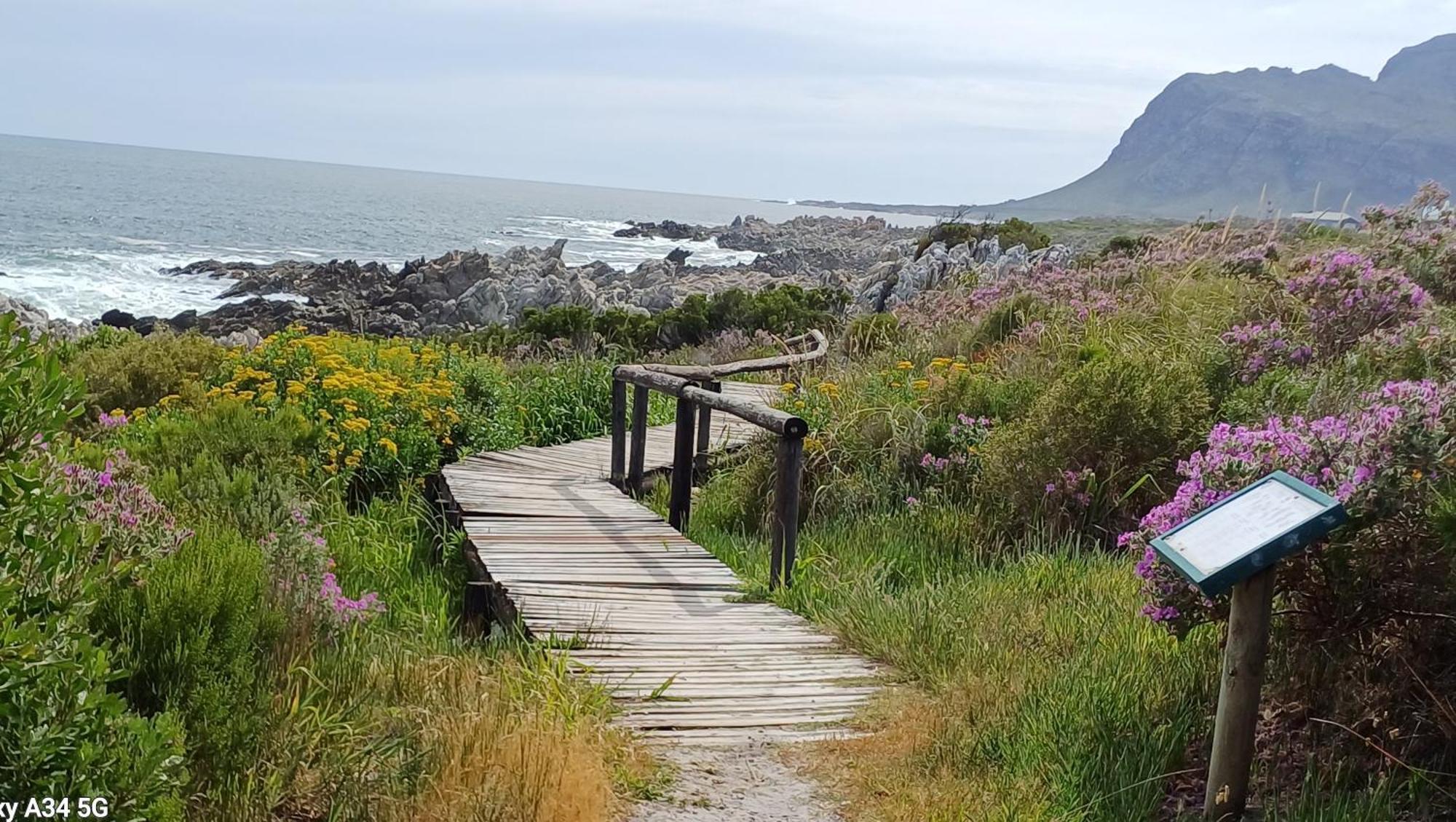 Kleinmond Panorama Holidays Екстер'єр фото